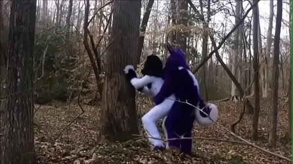 XXX Fursuit Couple Mating in Woods fresh Videos