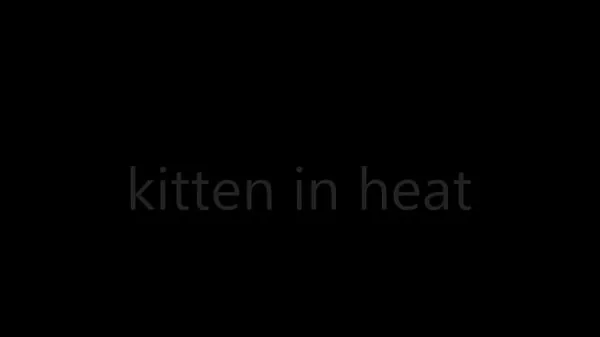 XXX تازہ ویڈیوز Chantal as a kitten in heat for you ہے