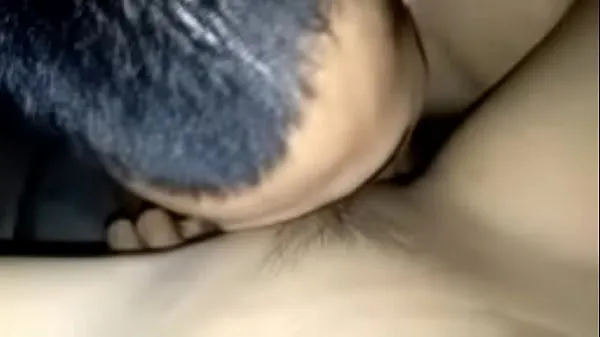 XXX Spreading the beautiful girl's pussy, giving her a cock to suck until the cum filled her mouth, then still pushing the cock into her clitoris, fucking her pussy with loud moans, making her extremely aroused, she masturbated twice and cummed a lot ferske videoer