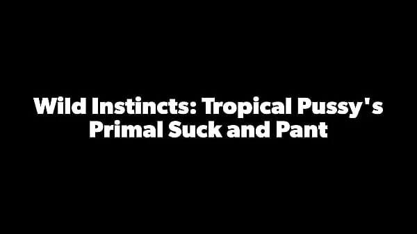 XXX Tropicalpussy - update - Wild Instincts: Tropical Pussy's Primal Suck and Pant - Dec 26, 2023 friske videoer